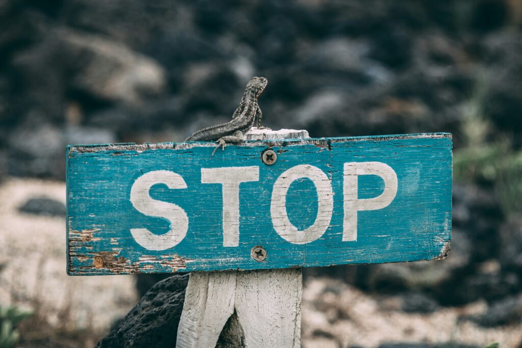 Turquoise sign with STOP painted on it. It's a little gritty and worn and their is a small salamander on top of it.